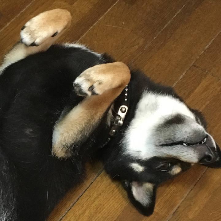 41b5c480 71ea 4f34 9df9 7fa7b3fe1642