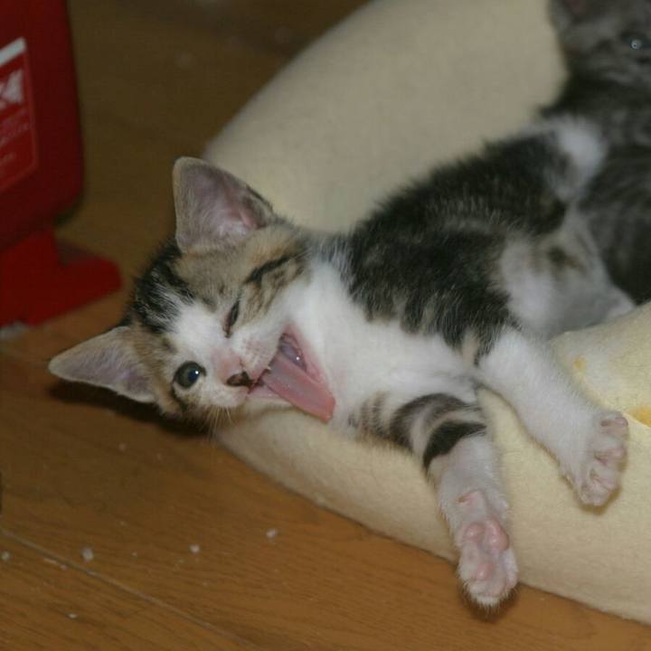 41b7022f a1b4 4ea0 86f7 a1e0c731e78f