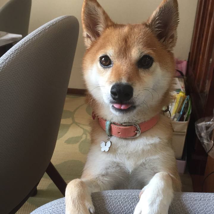 41b72c47 d1d6 4ba0 a2bc 2955cd71db0a