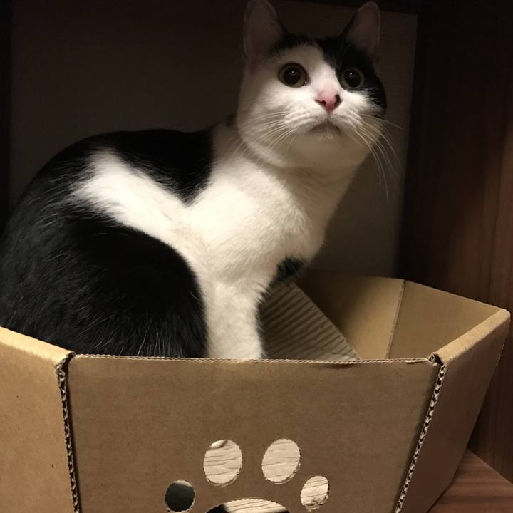 41b78b4b 8837 46fe 9606 fa6f4830d69c