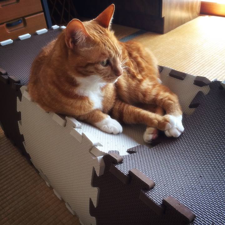 41b7af28 2eec 4fbb b207 f4b64ef94b5c