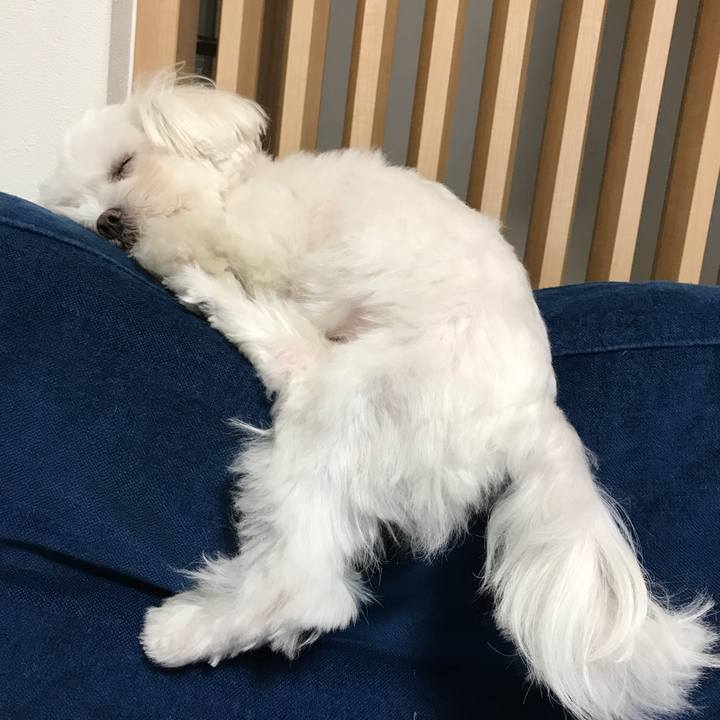 41b8951f d42b 439b 98d9 9037337ed2c6