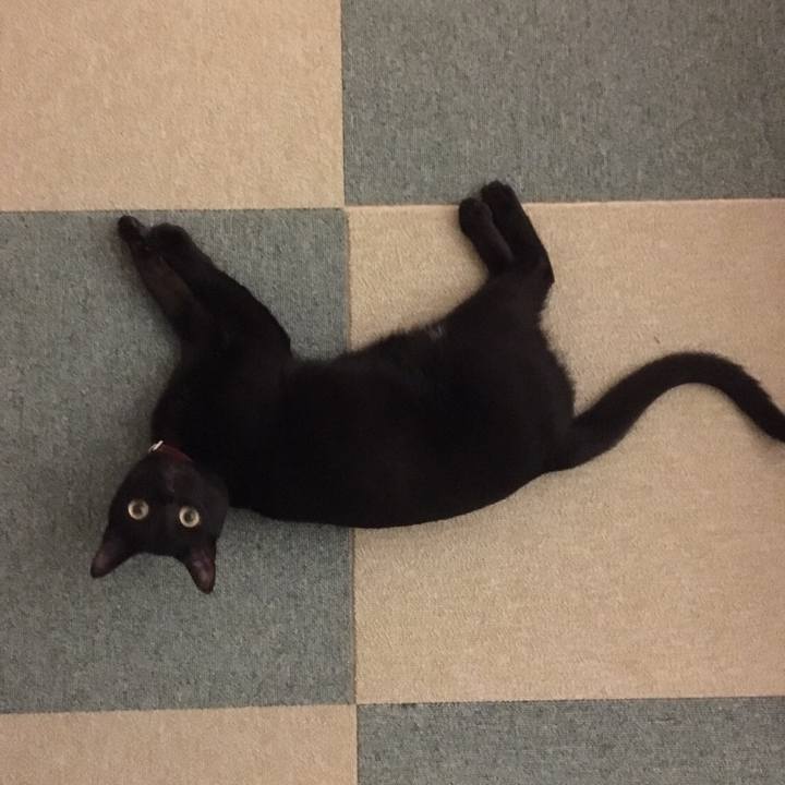 41b8c0c1 959b 4d6b 9049 b00152557230