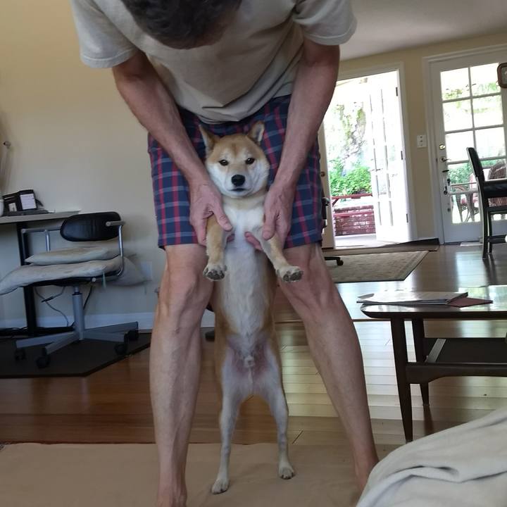 41b8d40e a107 43bf 9ba9 689eeea82a8b