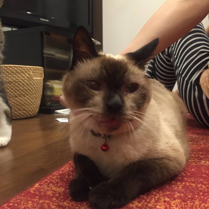 41b94bbb 4793 43f4 9dc6 9f88fb9973a0