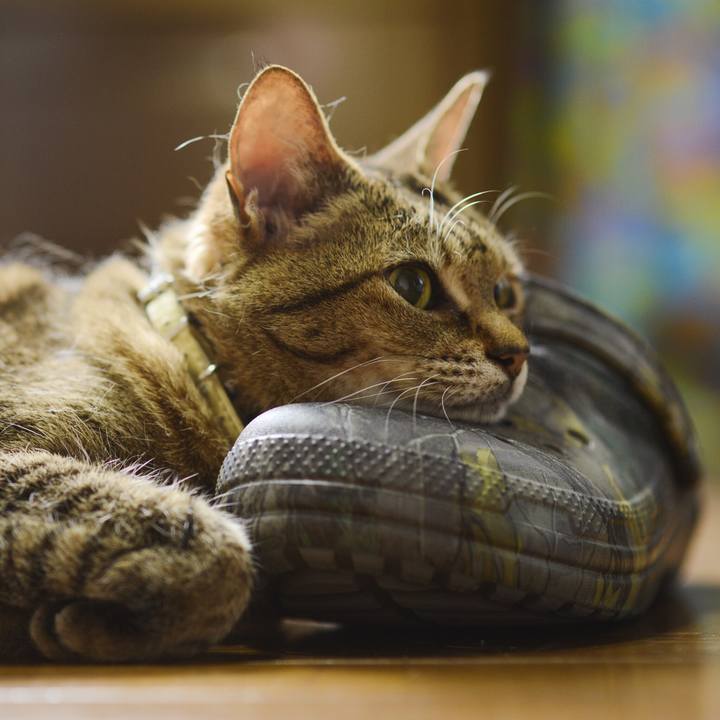 41b9b266 8b9f 41ec ac3f d0c5cf3121ae