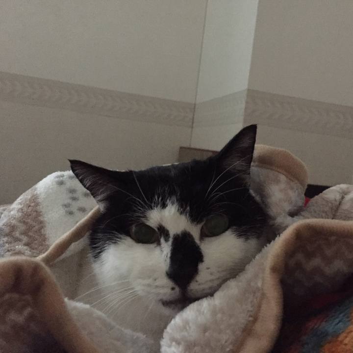 41baf42e 0492 4313 b827 c40b57199d86