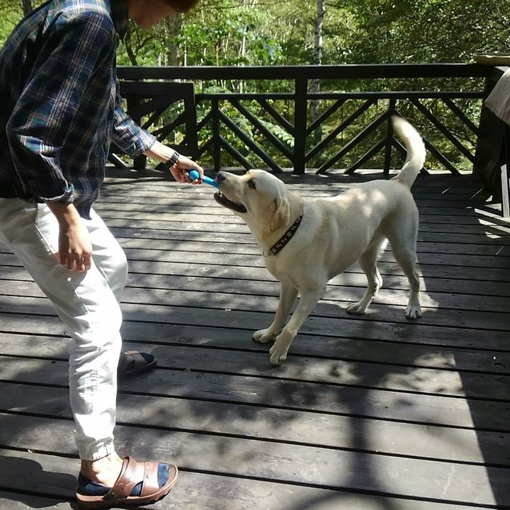 41bbb3c0 ee78 4e89 9414 094f498cdd8d