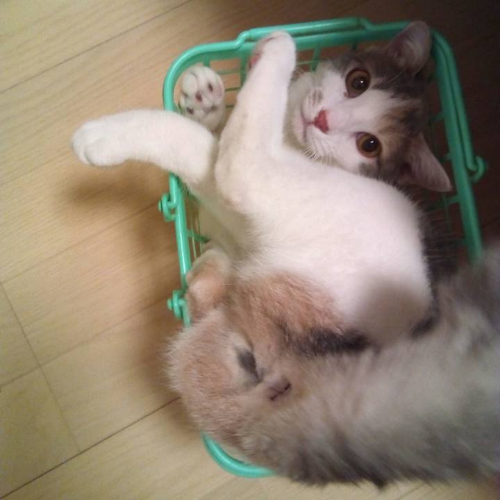 41bbb898 c086 4b20 8bc1 265c35f25517