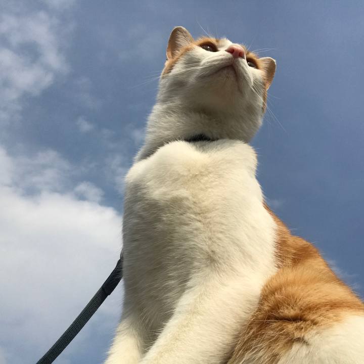 41bc1e48 019f 47ea b1e5 18c5d3a75951