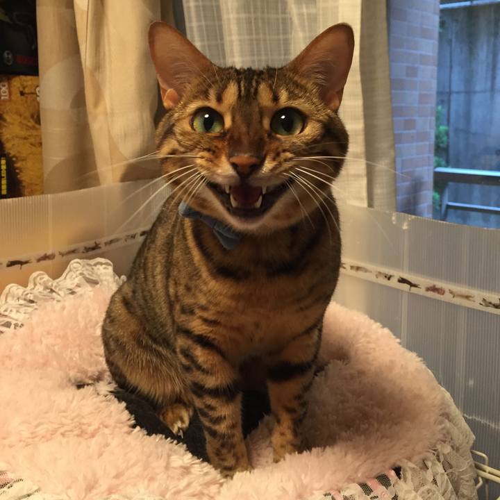 41bc4a79 f064 487e 9a43 38cbb14e4a0d