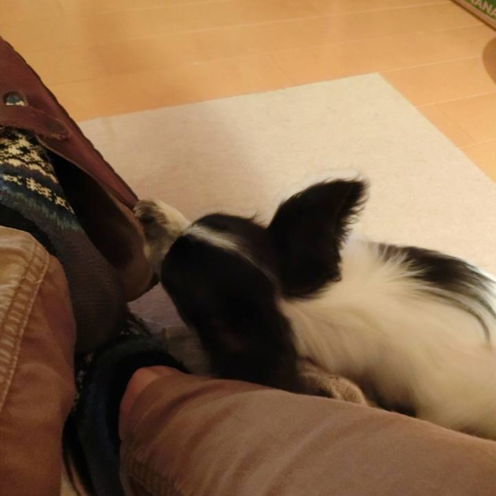 41bcba3b 7d38 4888 9add 8fcc2baf587e