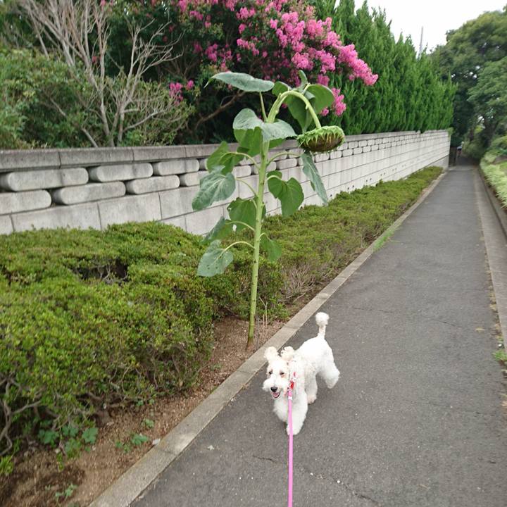 41bcce72 7452 43a2 9f5a f72403a946ac