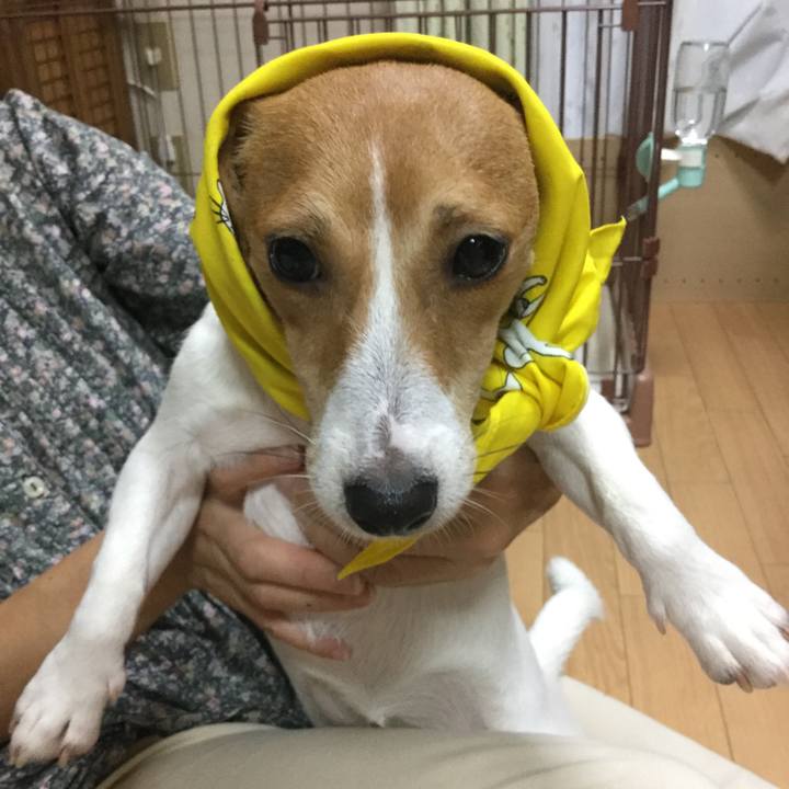 41bcd945 e182 4a59 a170 0560dad9f53b