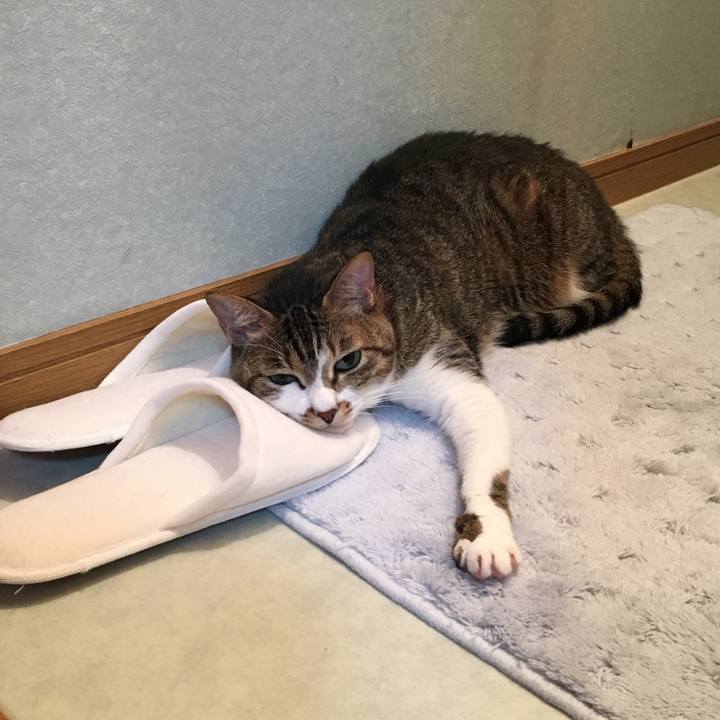 41bd1519 b6fa 45f2 a249 98bb9b44651f