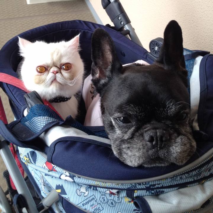 41bd9823 2f2a 43b0 8b7b 22f35e2638ea