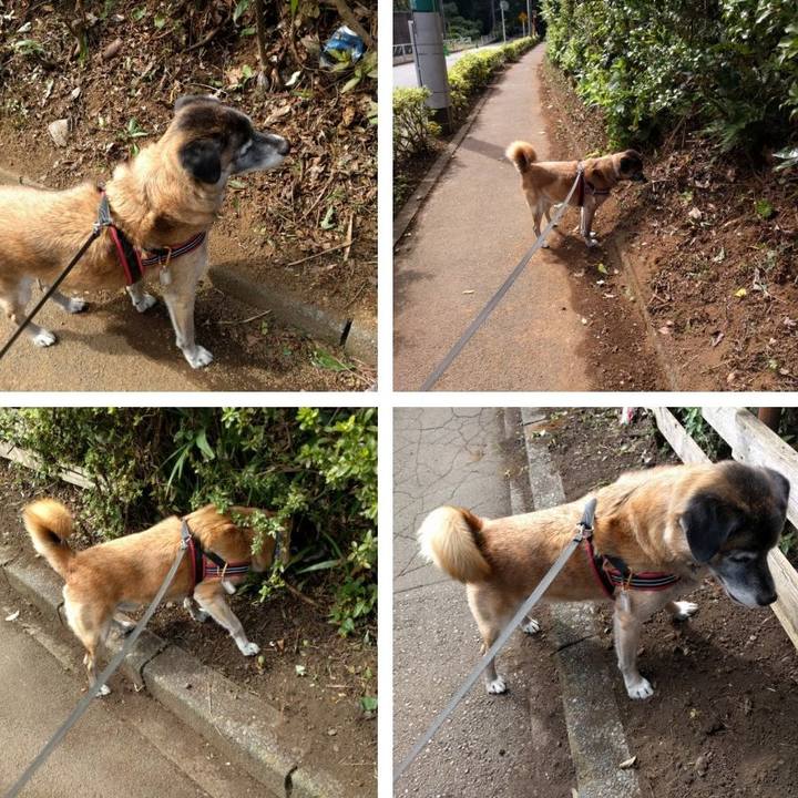 41bdab94 f0bc 43cf b313 7c801405ed6c