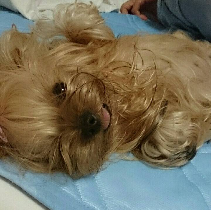 41bdc457 4af6 4a30 9428 72784395e5a8