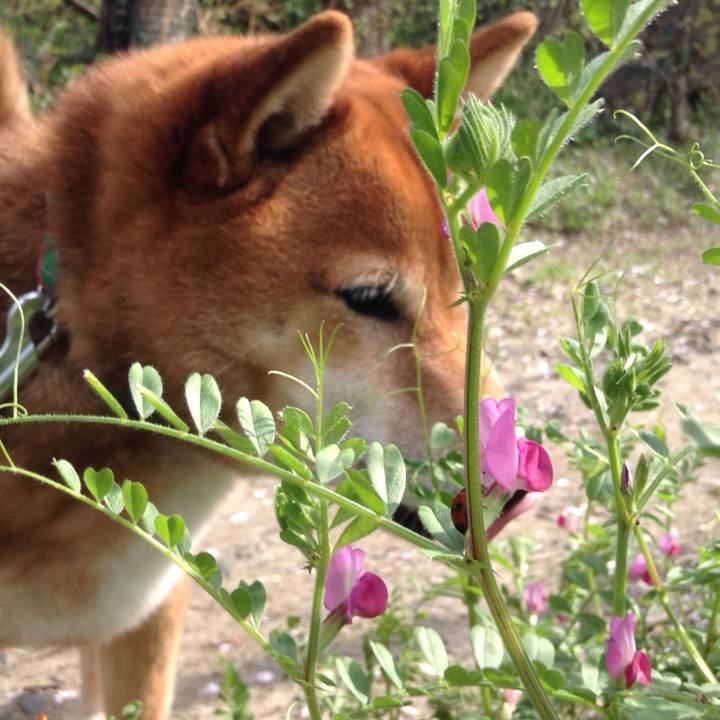 41bdcd2a 534a 4431 a1dc 2aa0c3cfc485