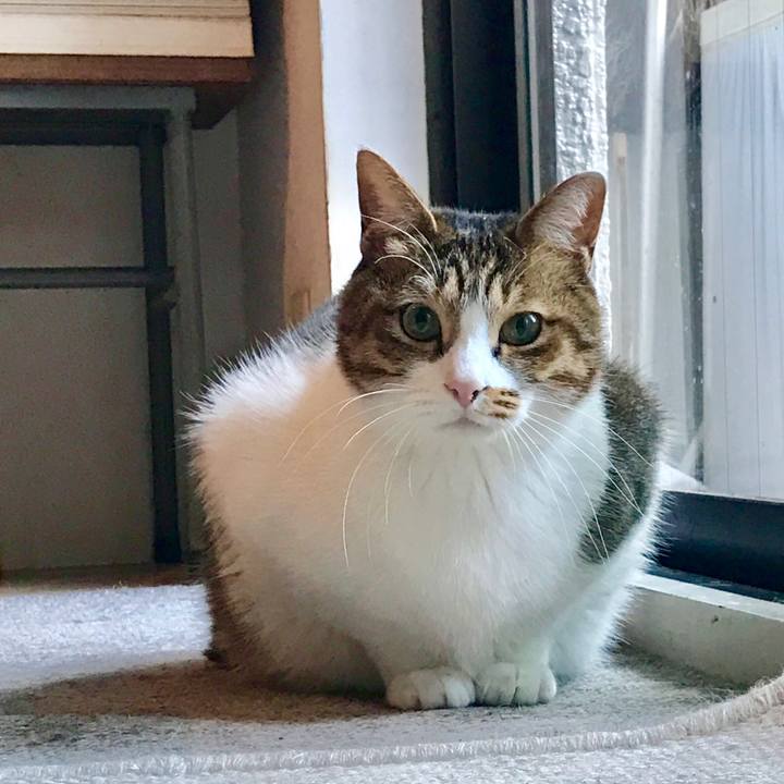 41be0b6c 546b 4ac9 a231 870a9252a207