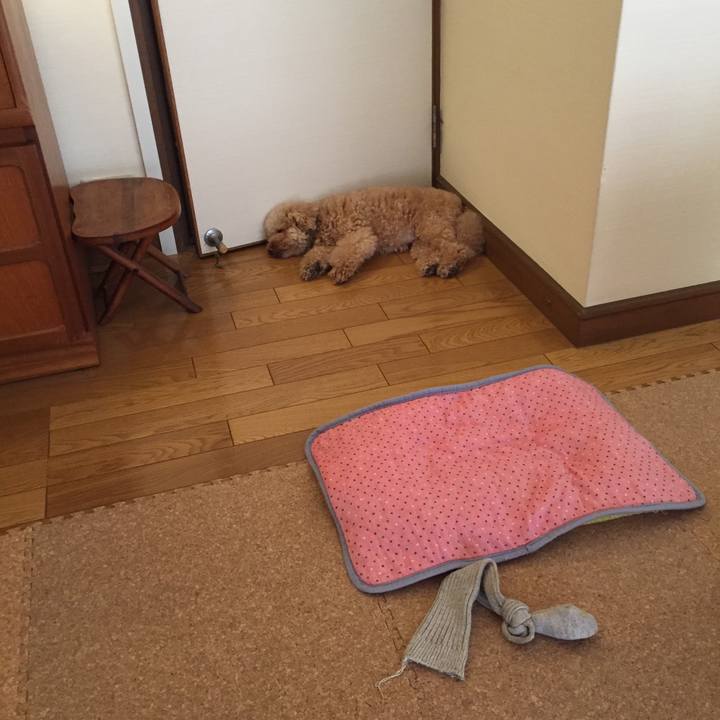 41be0dbf e6bb 41cb 8c50 f34535eeb83e