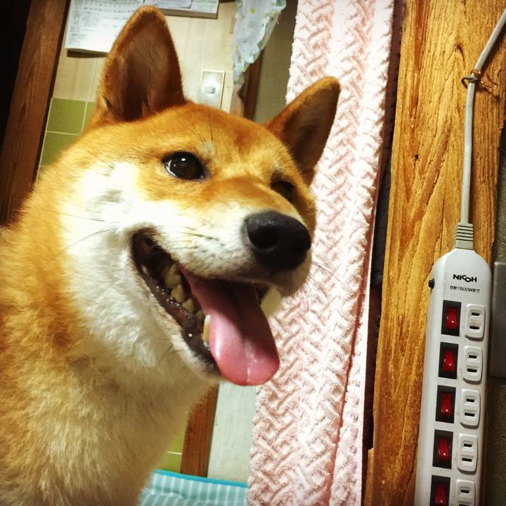 41be35ce 1db8 491e befa f6d37c7a4d70