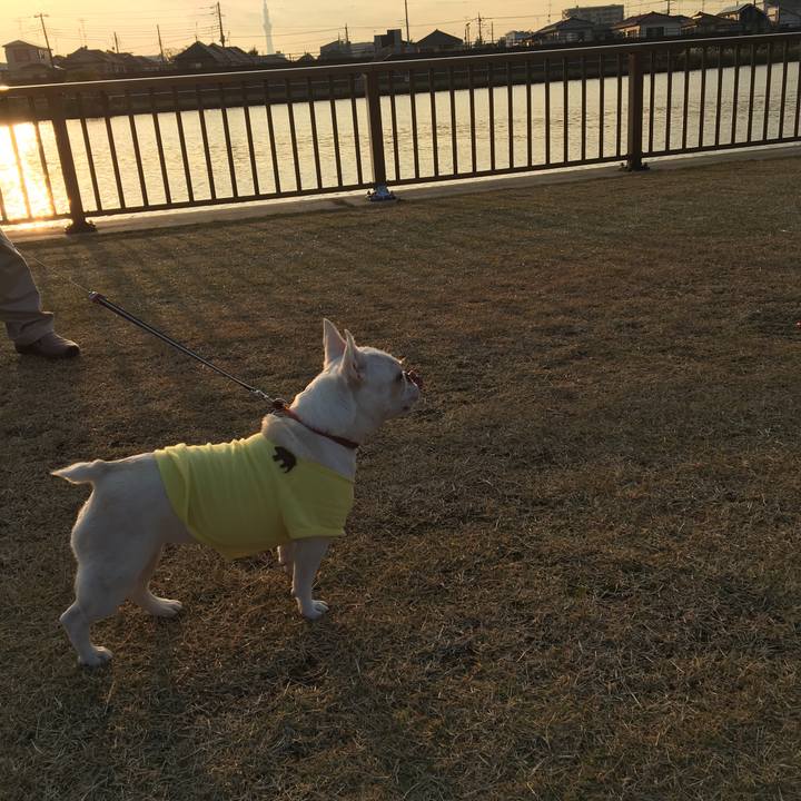 41be38b9 2d55 417a 8b51 d84c7d3c52bd