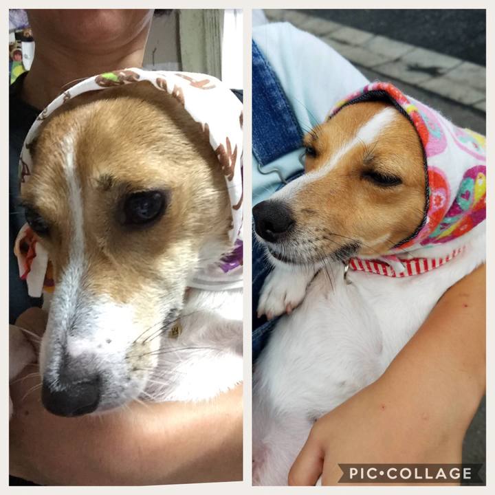 41be58d0 82f8 4d96 8356 6c38e64f8ce7