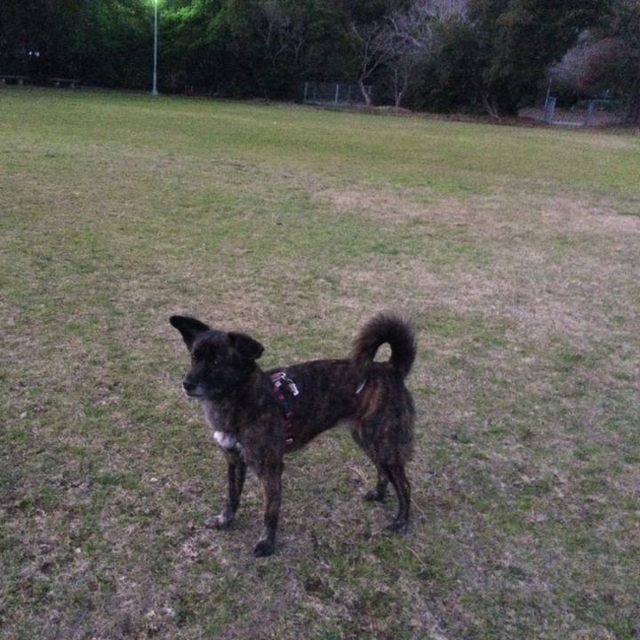 41be6041 4868 494c bbfa 73228897b1ce