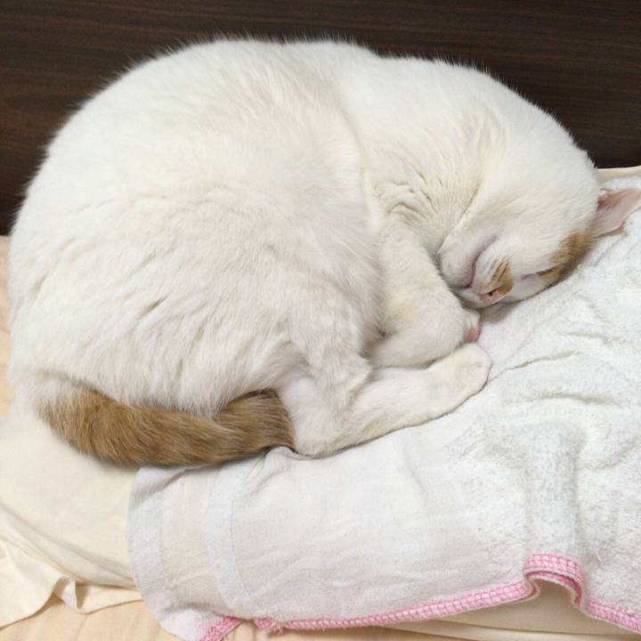 41be69bd 7508 4196 a28a 9c8424726cb6