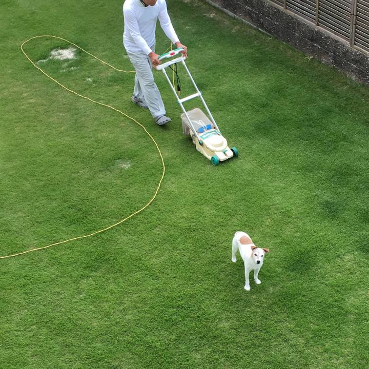 41be9c13 1cfc 40b7 8d5a 176bd0ea60ea