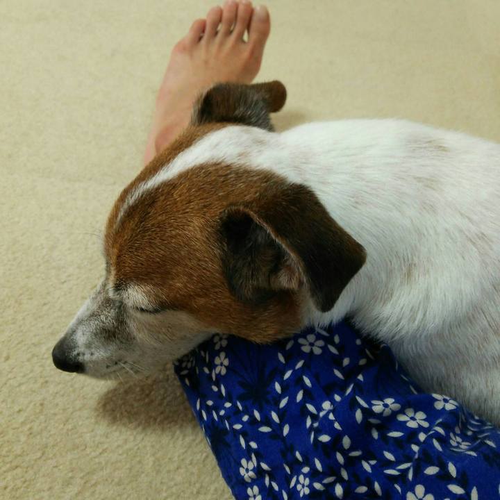 41bea71c 4bea 4c30 8db6 0e020f3b5ea4