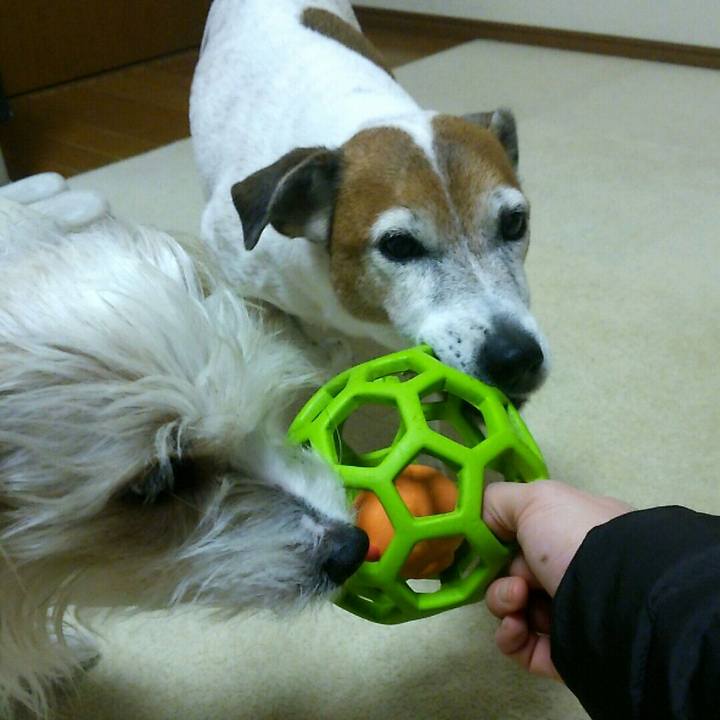 41beb8bf b9a9 42b1 972b 813b68d52811