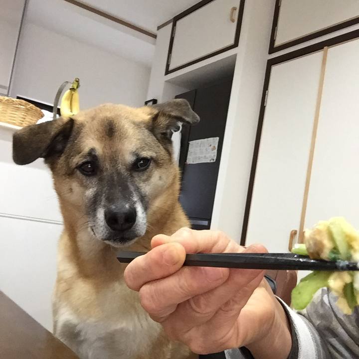 41bef046 480f 434a 88c7 68e84d90f6b0