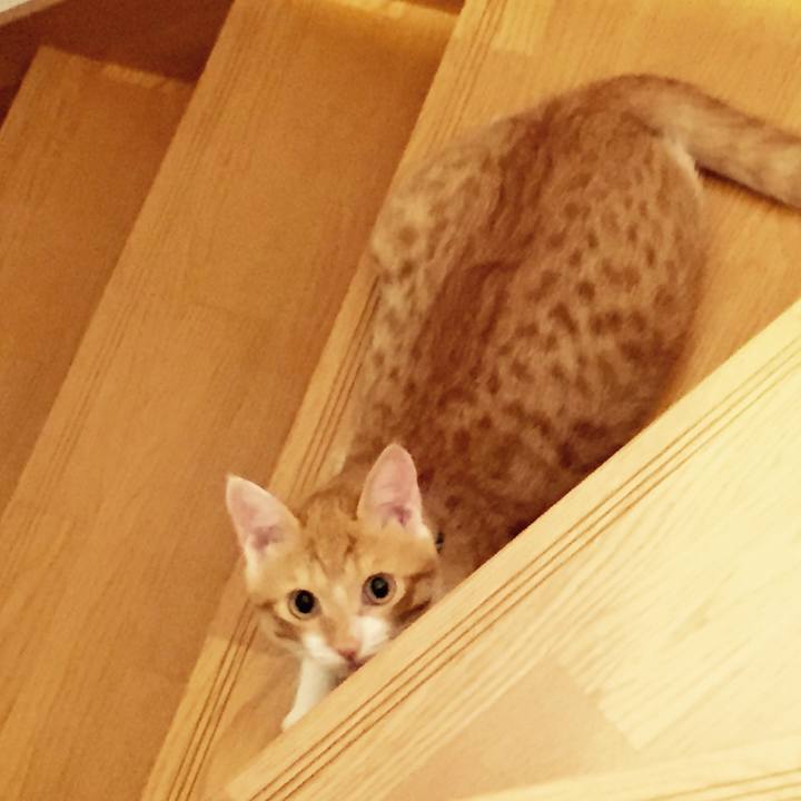 41bf454d 6085 420a 8bfb 4e009ac600e4