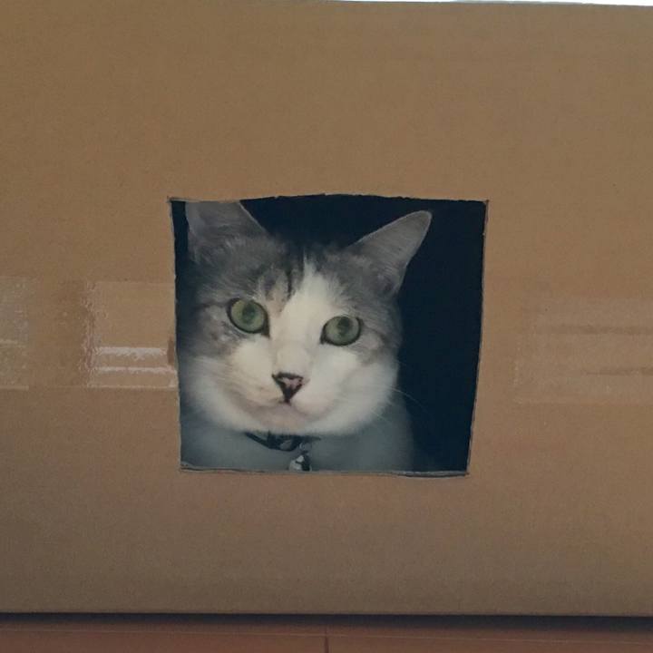 41c00b45 1db0 4ac4 af4b 5d75108ad4b4