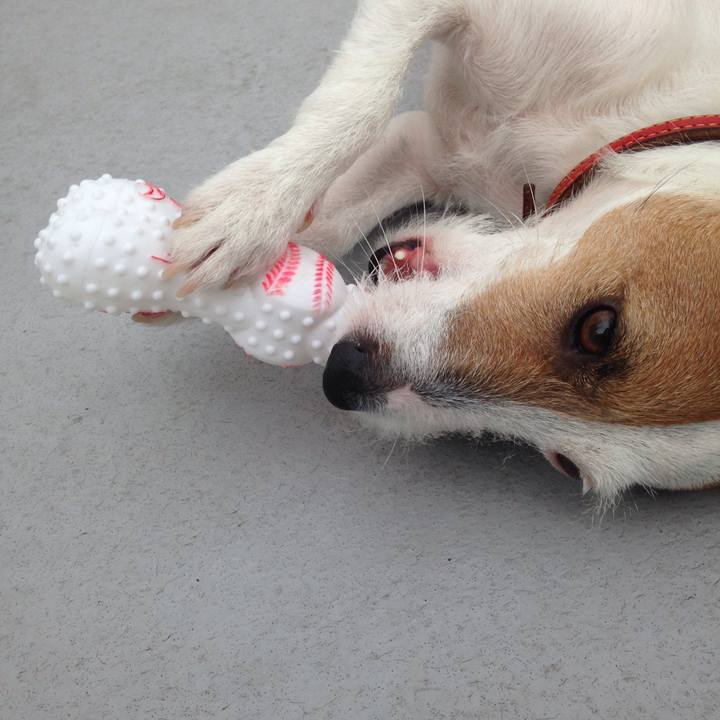 41c01f11 df72 453a b915 c87e74e72645