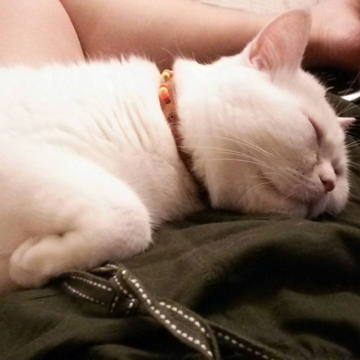 41c07b7e 53d5 4723 b229 306250a752b8