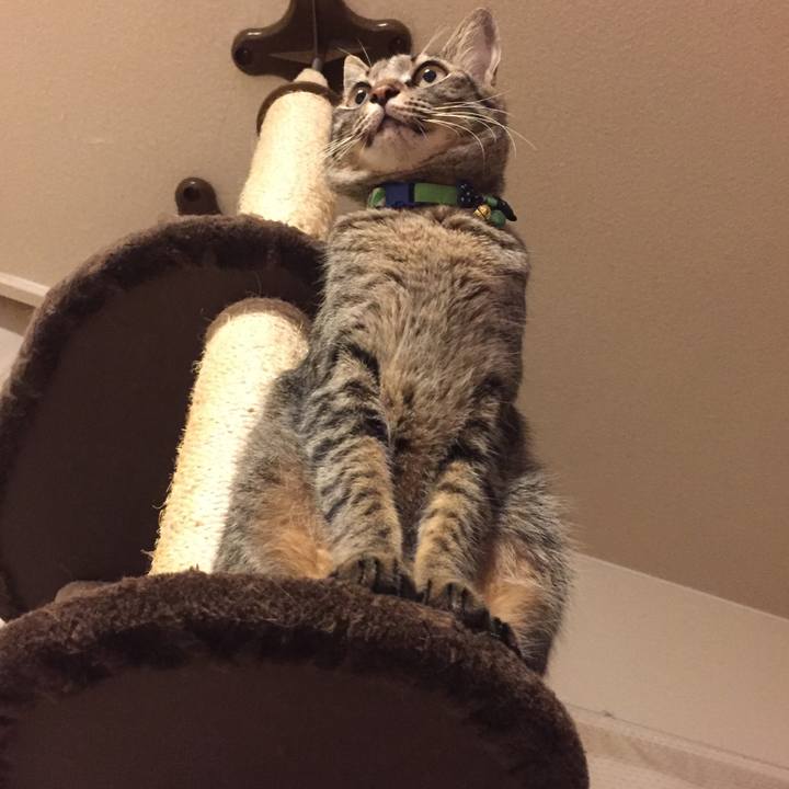 41c08046 e057 4d90 8dab 51c38fcd68b2