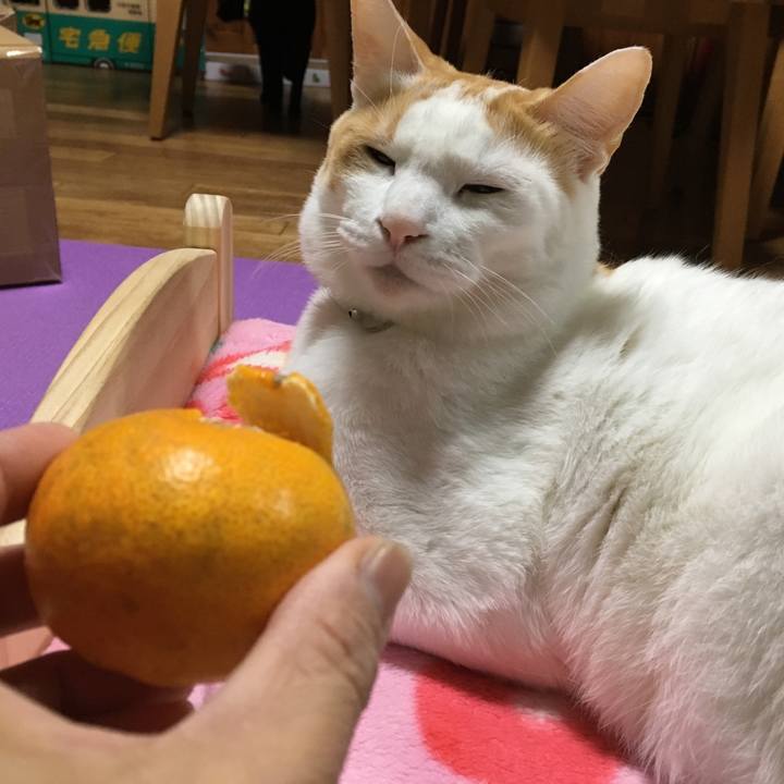 41c0b668 2608 434a 9162 15484c13fd8d