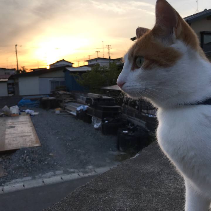 41c0b796 254e 4010 bc8e 134e1269142f