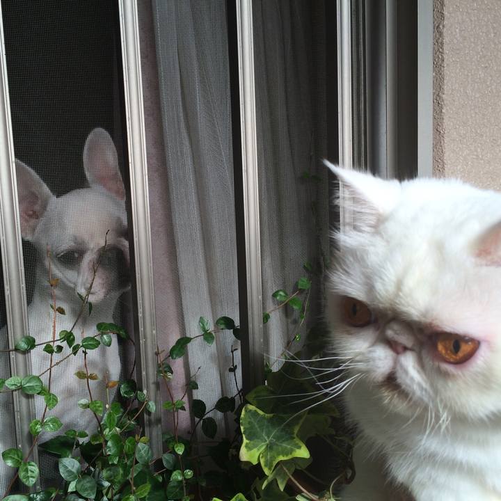 41c0c95d 64a2 4e45 9b39 cd25ef1409e9