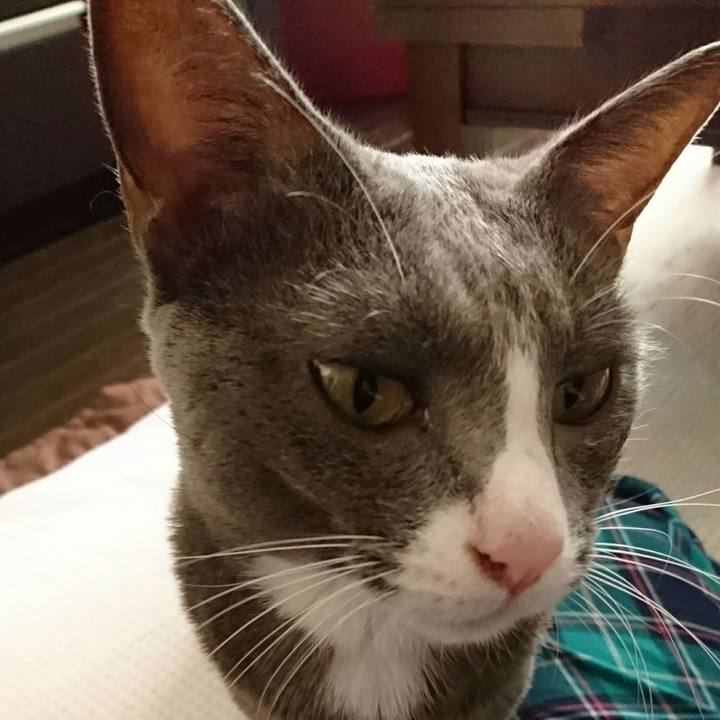 41c1042b 0e5b 426f 8bfb 4023aae9aad7