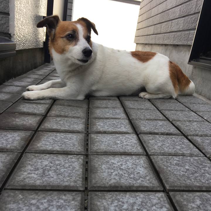 41c11af4 849a 4b99 bb5d 935c2745053b