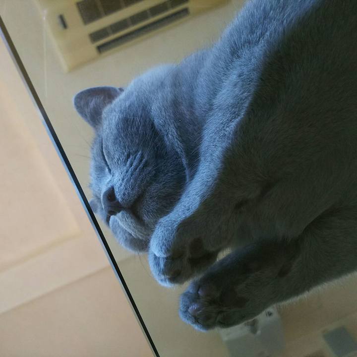 41c16764 cba4 4333 9bdc e7fbdbd5ff37