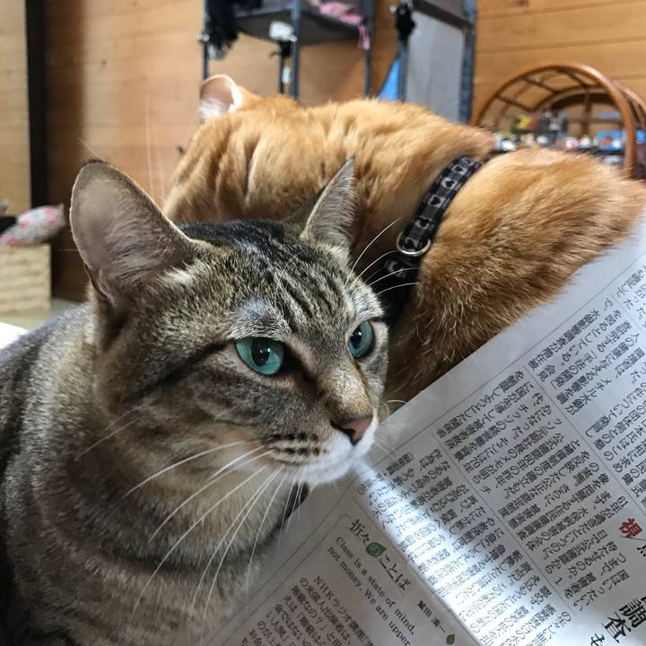 41c1c7e5 f415 4c1e 9f9b 44699d03efd2