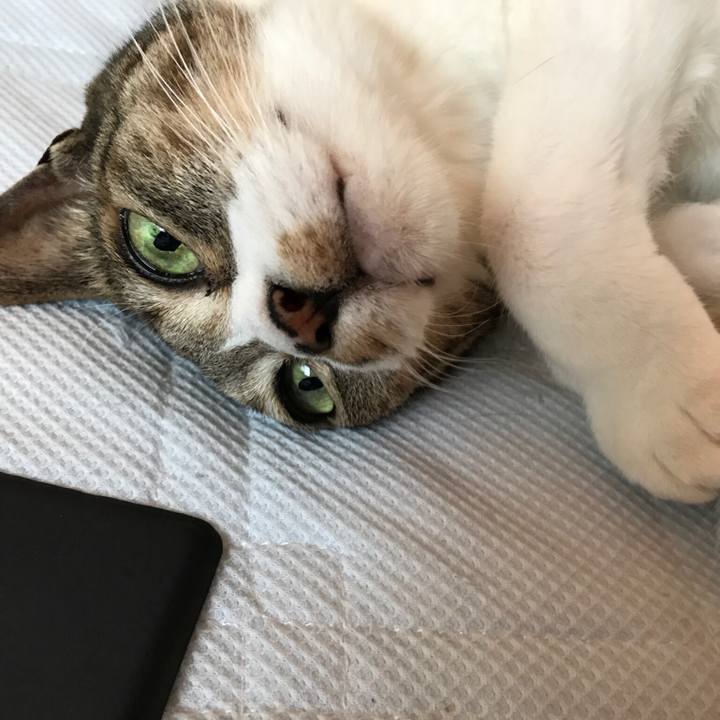 41c1cccd 4620 48c0 8b4b f35c147c63b6