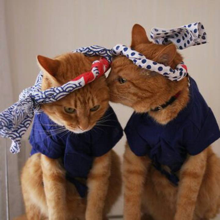 41c1ea37 ed8a 497d b437 84dd58a1a962