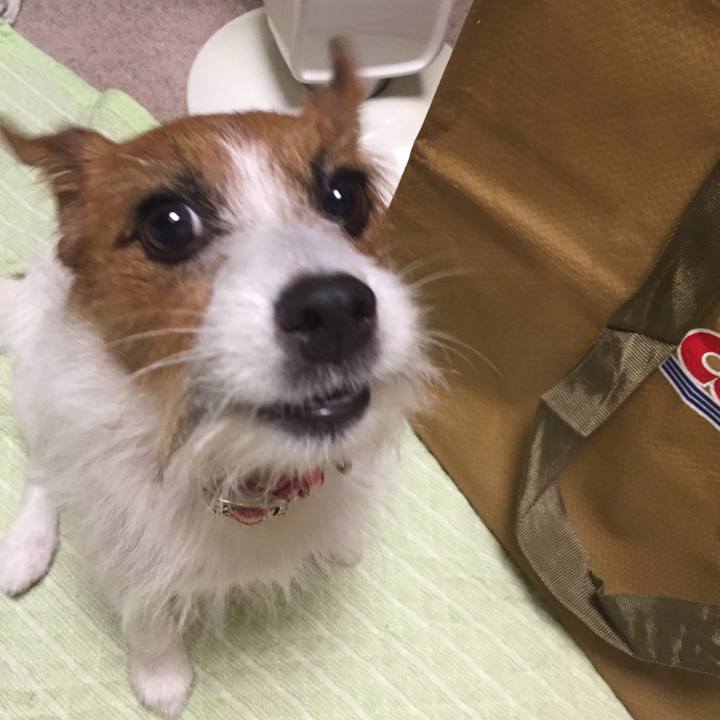 41c22e10 0250 42db 8c63 da0ef92a48d3