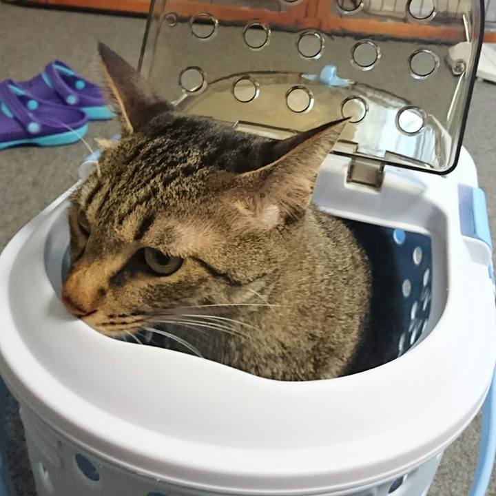 41c2b19d 6de8 499b 9846 2c45ab0e9a44